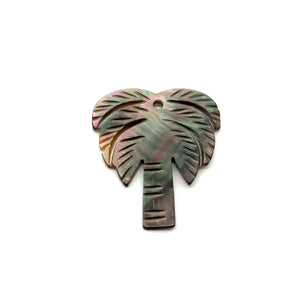 Mother Of Pearl Palm Tree Shell, Sku#M322
