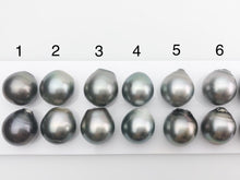 13mm Tahitian Loose Matched Pearls, Drop (211)