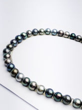 Loose Tahitian Pearls Set, Multicolor, Wholesale - Only 19 dollars per pearl - AA Quality (243)