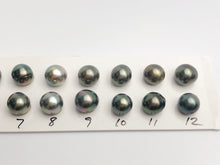 10-10.5mm Tahitian AA Loose Matched Pearls, 10mm Semi-Round (204)