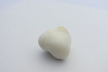 Natural White Tridacna Pearl 38mm x 34mm x 26mm GIA certified