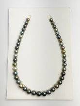 Loose Tahitian Pearls Set, Multicolor, Wholesale - Only 19 dollars per pearl - AA Quality (238)