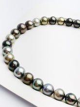 Loose Tahitian Pearls Set, Multicolor, Wholesale - Only 17 dollars per pearl - AA Quality (242)