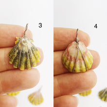 Sunrise Shell Wire Wrapped Pendants from Hawaii - Natural Color - Sunrise Shells - Sunnies (391 No. 1-10)