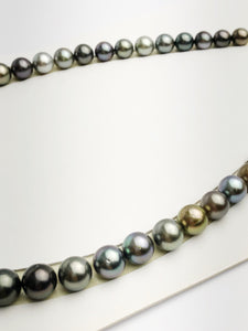 Loose Tahitian Pearls Set, Multicolor, Wholesale - Only 19 dollars per pearl - AA Quality (238)