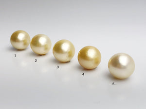 16mm - Golden South Sea Loose Pearls - Round - AA - 50% Percent Off Special, South Sea (#576 No. 1-5)