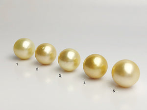15mm - Golden South Sea Loose Pearls - Round - AA - 50% Percent Off Special, South Sea (#581 No. 1-5)
