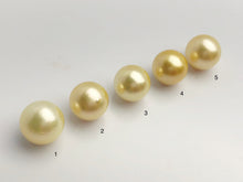 15mm - Golden South Sea Loose Pearls - Round - AA - 50% Percent Off Special, South Sea (#581 No. 1-5)