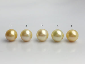 15mm - Golden South Sea Loose Pearls - Round - AA - 50% Percent Off Special, South Sea (#580 No. 1-5)