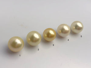 15mm - Golden South Sea Loose Pearls - Round - AA - 50% Percent Off Special, South Sea (#582 No. 1-5)