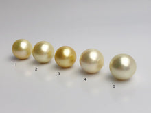 15mm - Golden South Sea Loose Pearls - Round - AA - 50% Percent Off Special, South Sea (#582 No. 1-5)