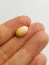Conch Pearl Loose 12.24mm x 7.38mm No. 24