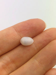 Natural Tridacna White Clam Pearl, 100% Natural Pearl, Loose Pearl, 10.11mm x 6.95mm No. 39