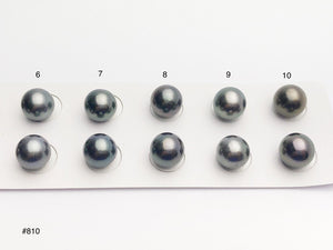 9.5-10mm Tahitian Pearls Round, AAA, Loose Matched Pairs 9.5-10mm (810)
