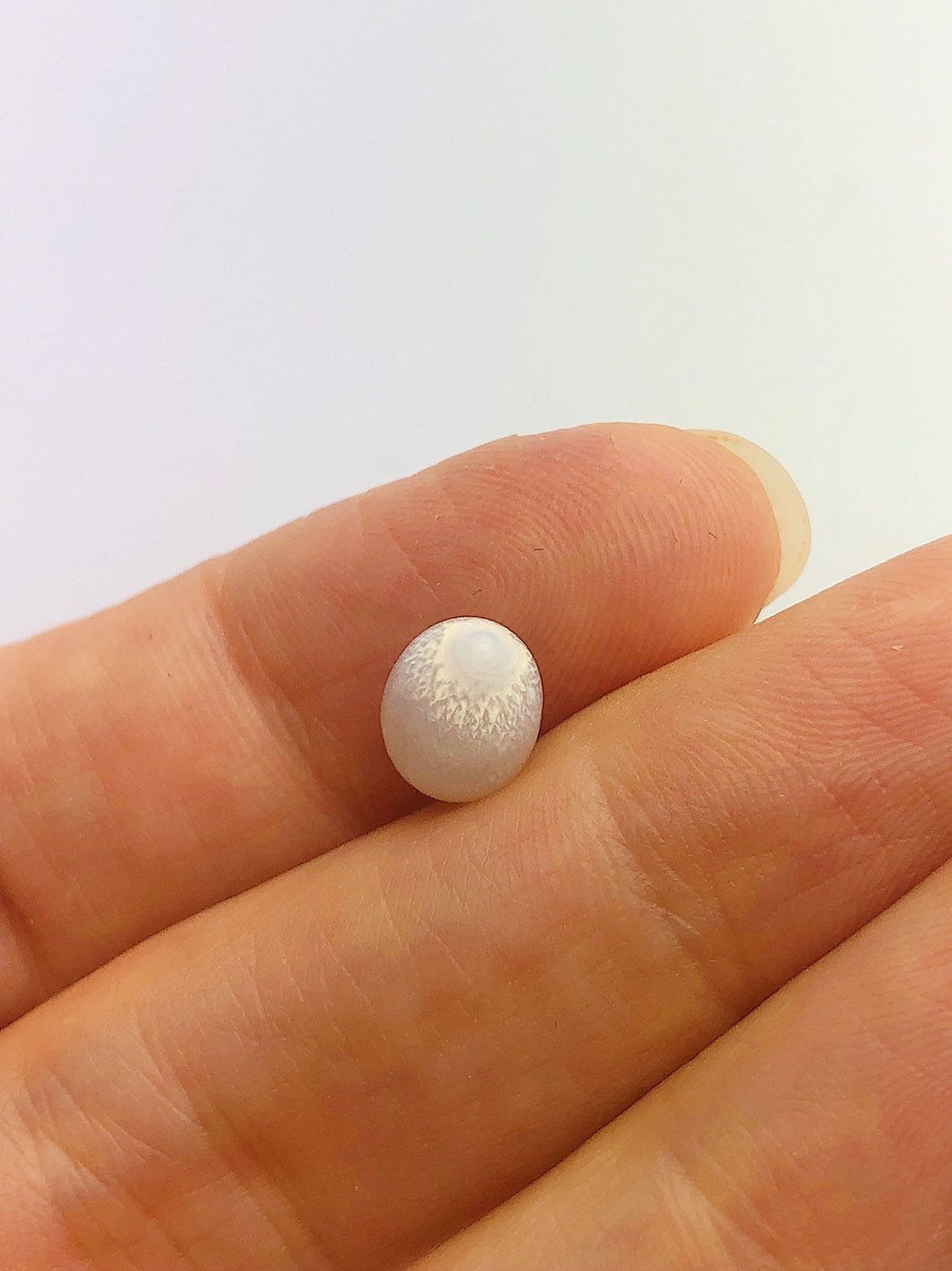 Natural Tridacna White Clam Pearl, 100% Natural Pearl, Loose Pearl, 10.11mm x 6.95mm No. 39