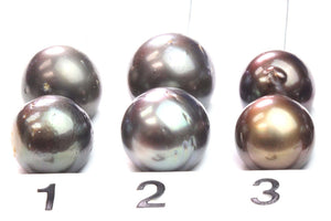 Paired Tahitian Pearl Matched Sets (12-14mm), Pick Your Pearls! (PLP016)