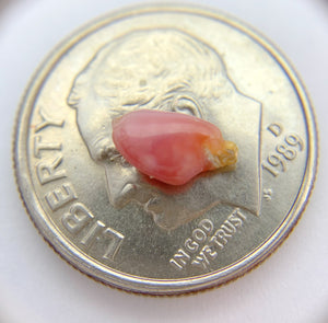 Natural Conch Pearl (4B)