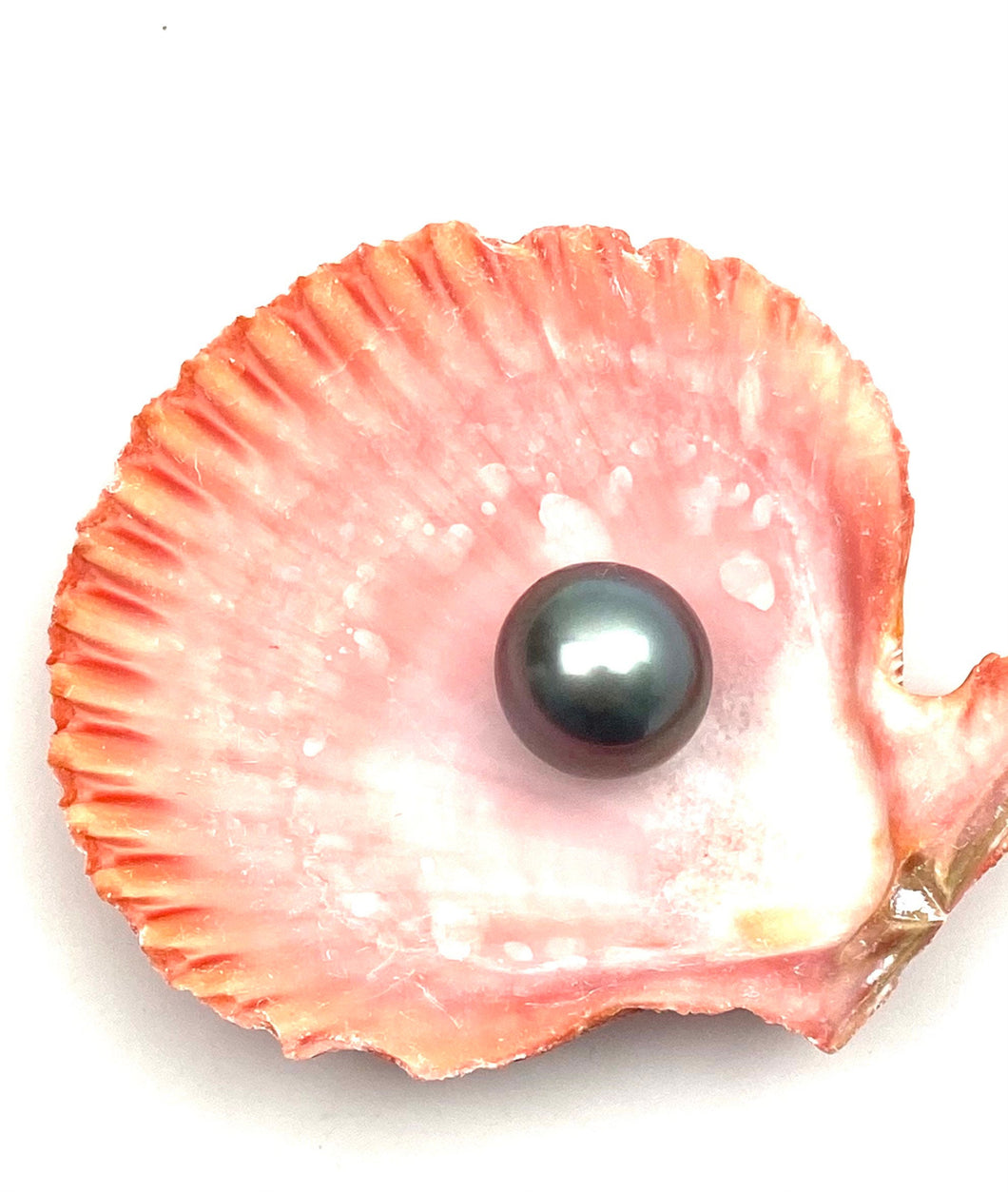 15.49mm AAA, Tahiti Pearl 100% natural color Tahitian pearl
