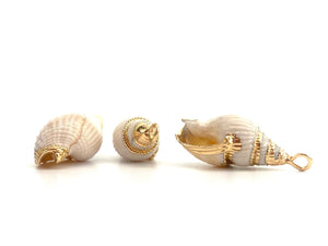 Mother Of Pearl Seashell, Sku#M641