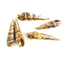 Mother Of Pearl Shell Beads, Sku#M653
