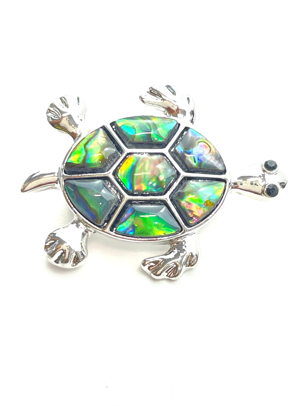 Abalone Little turtle pin
