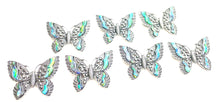 Beautiful Abalone butterflies pin