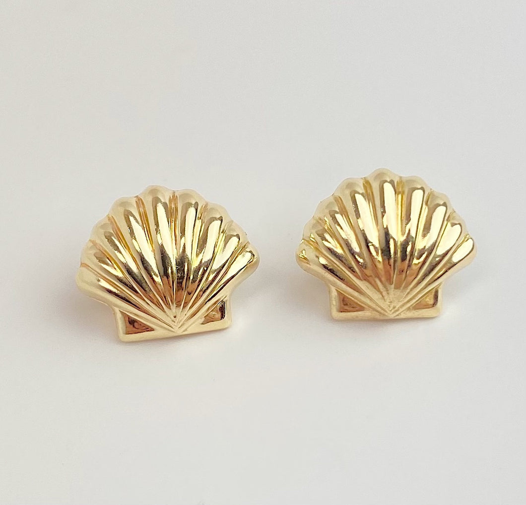 14k Gold Filled Seashell Stud Earring