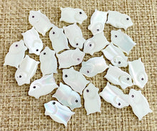 Mother of Pearl Charm Sku#M496