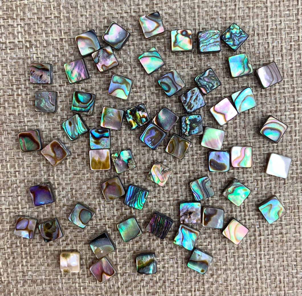 Square Abalone Beads