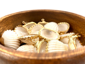 Mother Of Pearl Seashell Beads, Sku#M640